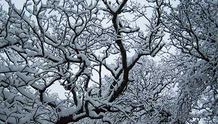 Vacanze sulla neve 2014 per ragazzi con Autismo 