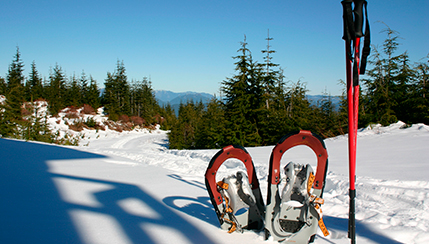 Vacanze invernali Fabula 2018