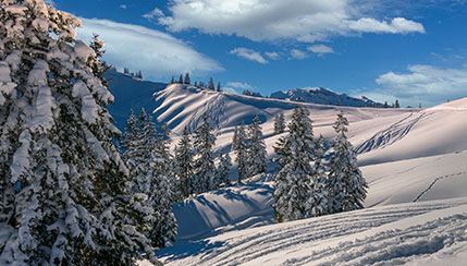 Vacanze sulla neve da Milano. Fabula per l'Autismo